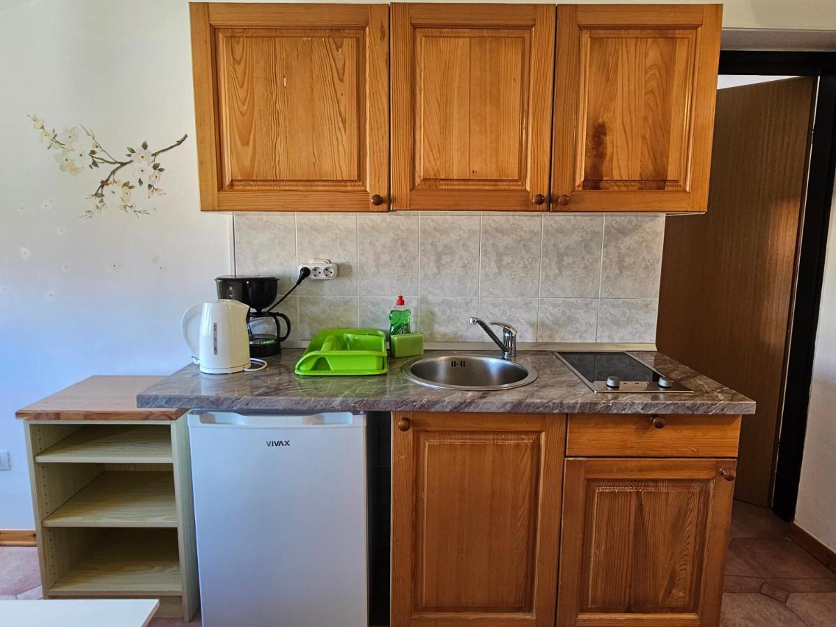 Apartments & Rooms Gaspar Rovinj Bagian luar foto