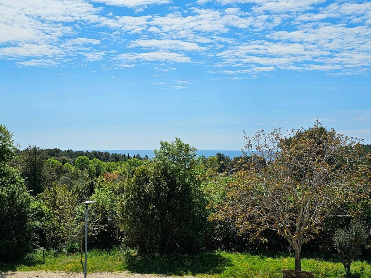 Apartments & Rooms Gaspar Rovinj Bagian luar foto